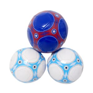 Pelota de futbol N5