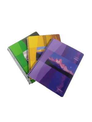 Cuaderno Universitario Rayado Avon x 84 hojas 22 x 29 cm
