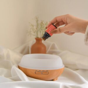 Difusor de aroma humidificador