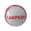Pelota de futbol N5 campeon