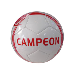 Pelota de futbol N5 campeon