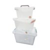 Caja organizadora con trabas mediana Cerri transparente
