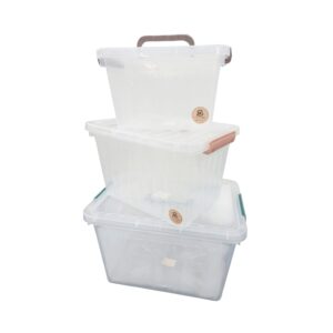 Caja organizadora con trabas mediana Cerri transparente