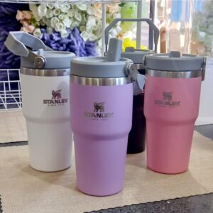 Vaso starbucks Stanley