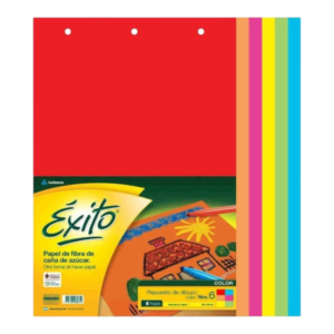 Repuesto dibujo color n5 – Exito